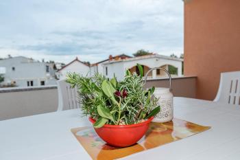 Apartment Simic, Vir (foto 2)