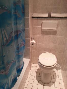 Iris Hotel, Oradea (foto 2)