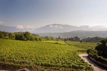 Nofnerhof, Appiano sulla Strada del Vino (photo 5)