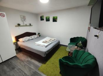 VINI studio with private parking, Skopje (Foto 3)