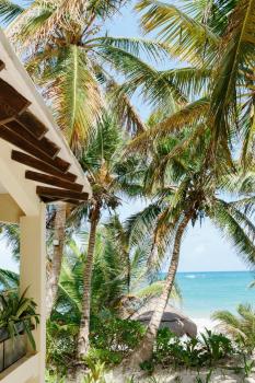 Olas Tulum, Тулум (фото 4)