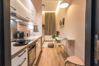 Golden Dove Luxury Aparts, Брюссель (фото 4)