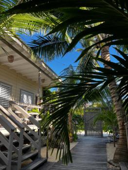 DreamCabanas, Caye Caulker (foto 3)