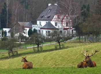 Ferienwohnung in Lahnstein am Rhein, Lahnstein (Foto 2)