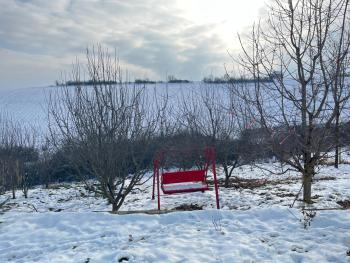 Orchard, Quba (photo 3)