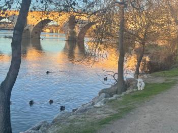 Plata 2, Zamora (foto 2)