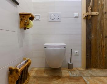 Goiserer Chalet, Bad Goisern (fotografie 5)