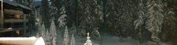 Charming Winter Studio, Borovets (foto 4)