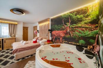 Serce Tatr Residence Zakopane - blisko Krupówek, Zakopane (photo 2)