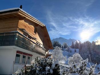 Chalet Viola, Wengen (photo 4)