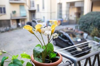 Appartamenti Mazzini, Turín (fotografie 4)