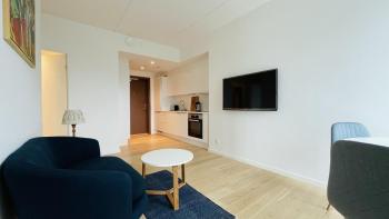 ApartmentInCopenhagen Apartment 1527, Kodaň (fotografie 5)