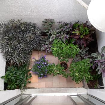 CASA DE LOLA, Medellín (photo 3)