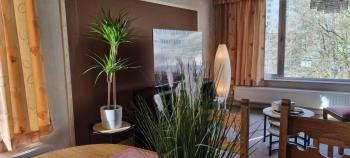 SUPERB FLAT WITH 3 BEDROOMS PARKING AND BALCONy, Amberes (foto 5)