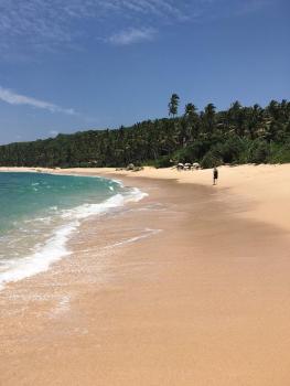 skyresort, Tangalle (zdjęcie 2)