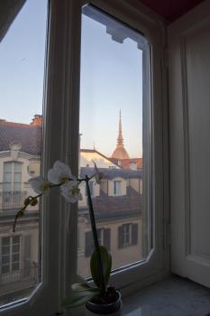 Residenze Torinesi, Turyn (zdjęcie 4)