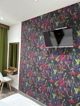 Отель AuRoom Ванадзор, Vanadzor (fotografie 5)