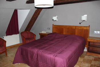 Logis Hôtel Restaurant Au Cerf d'Or, Strasburg (zdjęcie 4)
