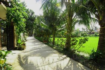 Hoang Y Homestay, Hoi An (fotografie 3)