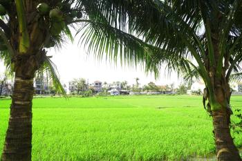 Hoang Y Homestay, Hoi An (fotografie 2)