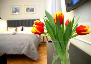 Falcon Apartment Center 1 Warszawa Centralna, Warsaw (photo 2)