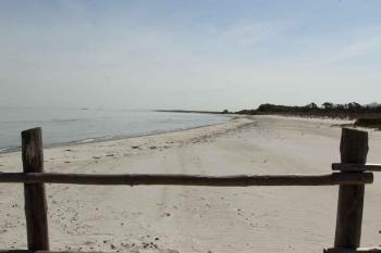 Erholung in der Natur - Urlaub im Alten Forsthaus, Zingst (foto 3)