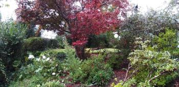 Maple Grove, Hogsback (zdjęcie 4)