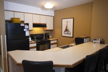 1Br Ski-in, Ski-out With King Bed- Okemo Mtn Lodge condo, Ludlow (foto 3)