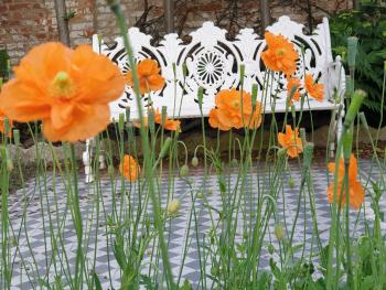 Bed & Breakfast Exterlaer, Antverpy (fotografie 3)