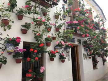 Geysotur El Templo, Córdoba (fotografie 4)