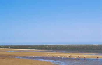 Seadrive, Walvis Bay (fotografie 4)