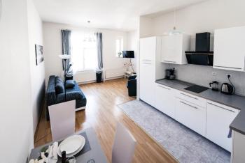 Modern Apartment Riegrovy sady, Praha (fotografie 2)