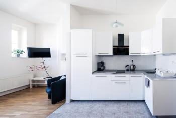 Modern Apartment Riegrovy sady, Praha (fotografie 4)