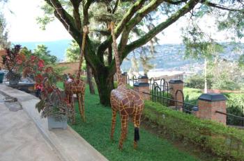 Step Town, Kigali (photo 5)