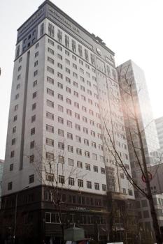 Yeoksam Artnouveau City Hotel and Residence, Soul (fotografie 5)
