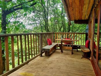 Tree House, Aberaeron (zdjęcie 5)