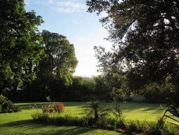Meander In, Howick (photo 4)