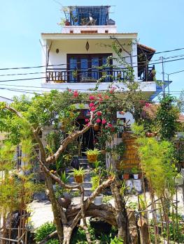 AnBang Morning Glory Beach Homestay 호이안 안방비치 숙소호텔, Hội An (photo 2)