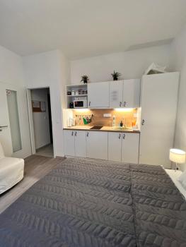 Maria Apartment Liben, Prague (photo 4)