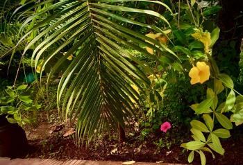Stan-Inn, North Goa, Vagator, with strong WIFI,free private parking & kitchen, Can Cook where you stay, Vagator (fotografie 4)