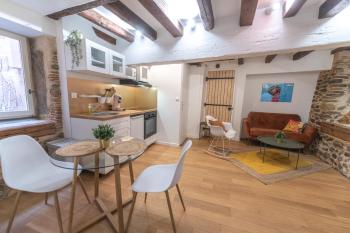 Cosylocation - Chaleureux - Hypercentre, Vienne (fotografie 3)