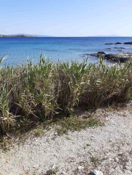 Sail in, Drios (photo 3)