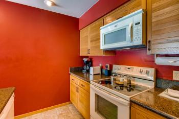 Updated 1 Br - Ski-In Ski-Out Access Condo, Crested Butte (photo 2)