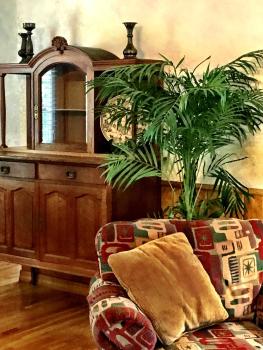 C15 - Lake view two bedroom, two bath Harbor North luxury cottage with private hot tub overlooking Lake Ouachita, Mount Ida (zdjęcie 4)