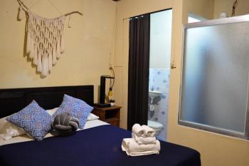 Ave del Paraiso Guest House, Antigua Guatemala (foto 4)