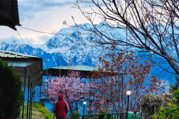 Himalayan High, Auli, By Himalayan Eco Lodges, Jyotirmath (fotografie 5)