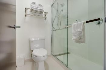 SpringHill Suites by Marriott Dallas NW Highway at Stemmons / I-35East, Dallas (zdjęcie 3)