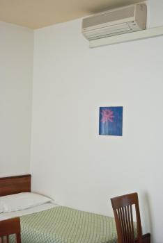 Hotel Tuscolano, Bolonia (foto 3)