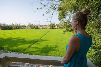 Do River Homestay, Hoi An (foto 2)