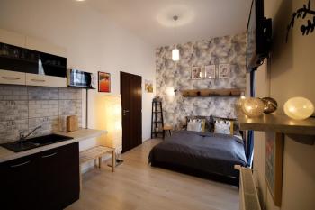 Snajder Apartment, 15min to Old Centre, Self-check in, Free Wifi, Прага (фото 3)